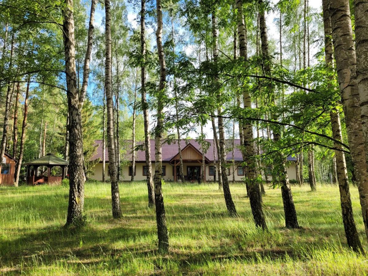 Osrodek Wypoczynkowy Zacisze Hotel Śliwice Buitenkant foto