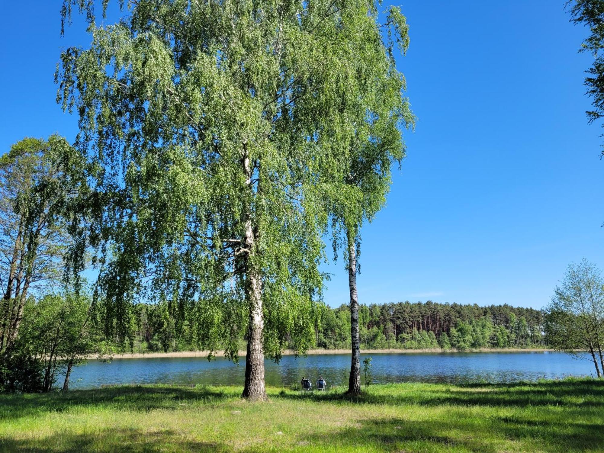 Osrodek Wypoczynkowy Zacisze Hotel Śliwice Buitenkant foto